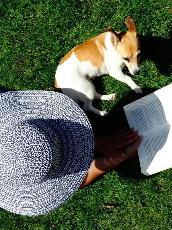 pexels-pixabay-357275